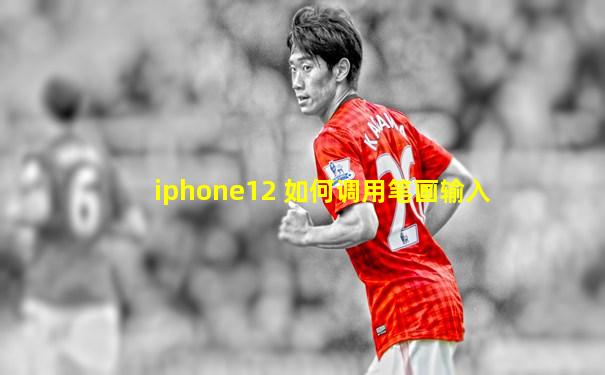 iphone12 如何调用笔画输入